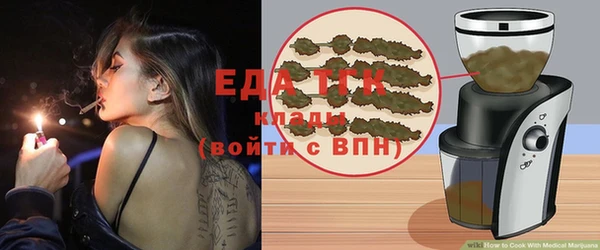 индика Киселёвск