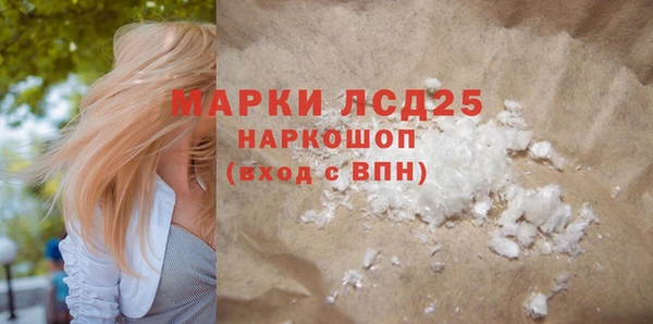 индика Киселёвск