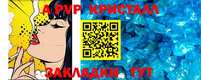 шишки Изобильный