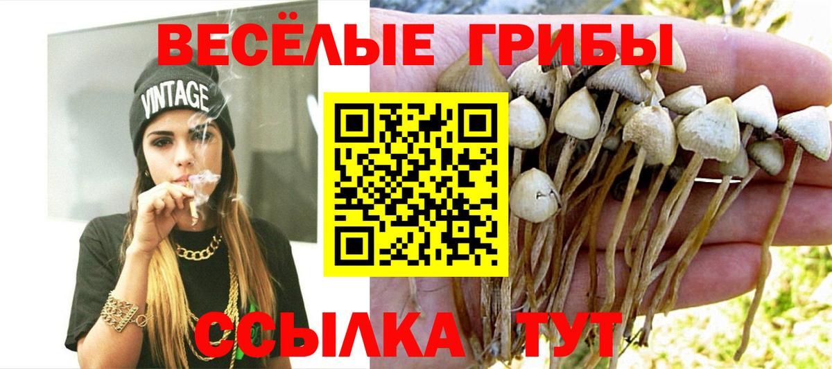 Галлюциногенные грибы Magic Shrooms Похвистнево