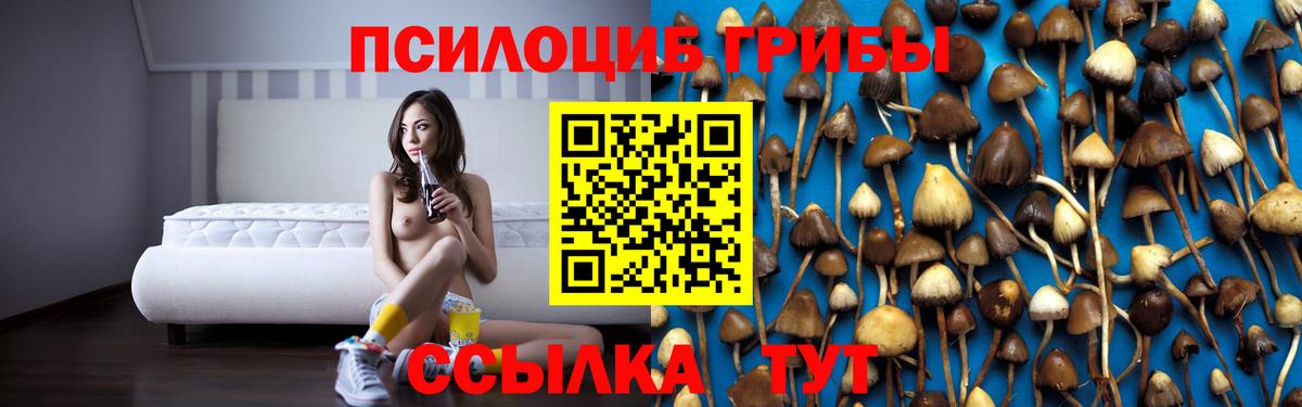 Похвистнево  Галлюциногенные грибы Psilocybe  Вход с VPN 